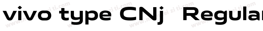 vivo type CNj简 Regular字体转换